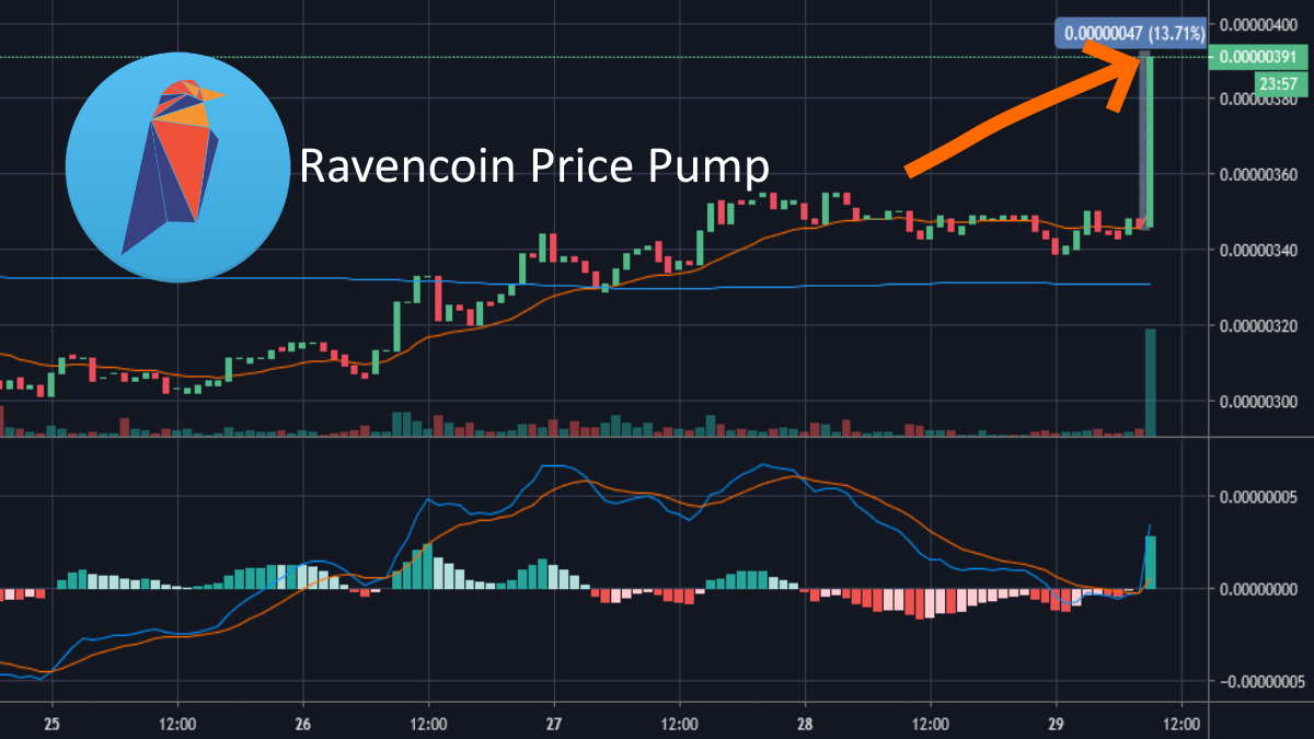 Ravencoin-Price-Pump